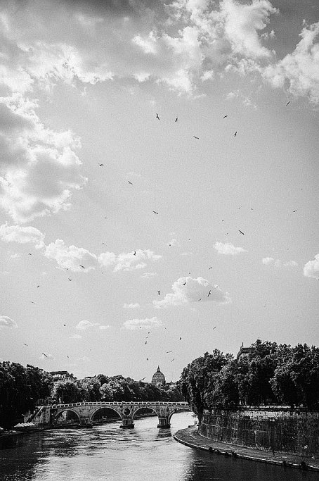 54 gaviotas sobre el TÃ­ber - Roma - Sergio Arias Ramón